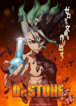 Dr Stone 8