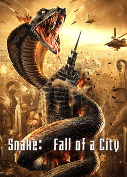 Snake Fall of a City (2020) เลื้อยล่าระห่ำเมือง Snake Fall of a City (2020) เลื้อยล่าระห่ำเมือง