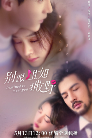 Destined to Meet You EP 19