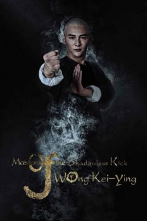 Master Of The Shadowless Kick Wong Kei Ying (2017) Master Of The Shadowless Kick Wong Kei Ying (2017)