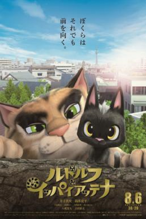 Rudolf The Black Cat (2016) รูดอล์ฟ เหมียวน้อยผจญเมือง Rudolf The Black Cat (2016) รูดอล์ฟ เหมียวน้อยผจญเมือง
