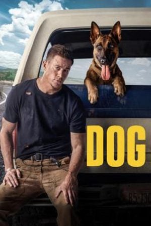DOG (2022) เพื่อนกันพันธ์ห้าว DOG (2022) เพื่อนกันพันธ์ห้าว