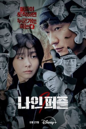 Nine Puzzles (2025)