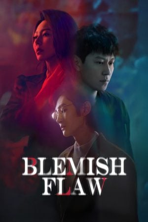 Blemish Flaw (2025)